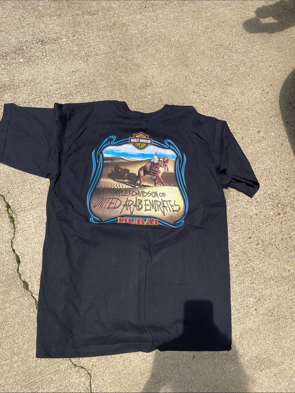 Harley-Davidson Black T-Shirt with Blue and Tan Desert Graphic